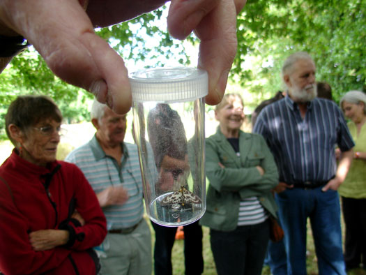 Wivenhoe Watching Wildlife Group