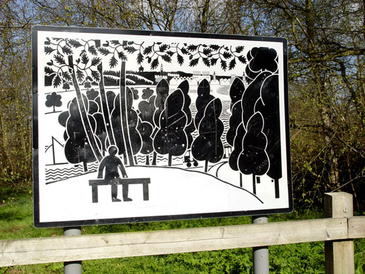 Bluebells of Wivenhoe