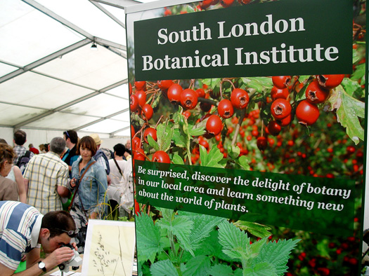 Lambeth Country Show