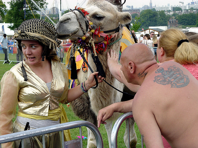 Lambeth Country Show