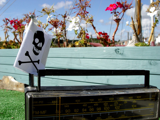 A Boat for His Potplants