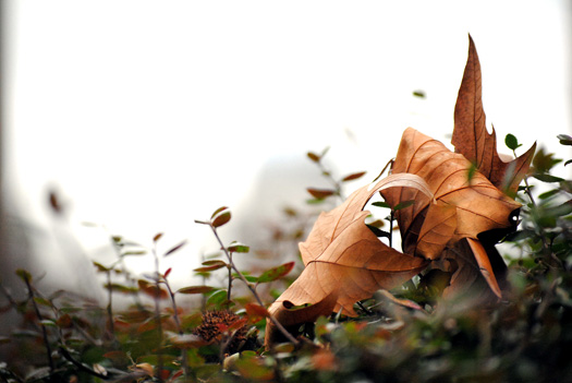 Sumner Street, 26/01/10