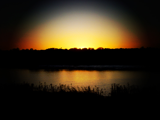 River Colne sunset