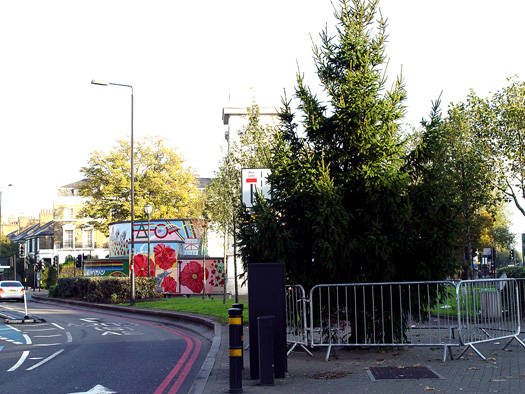 Stockwell Christmas Tress