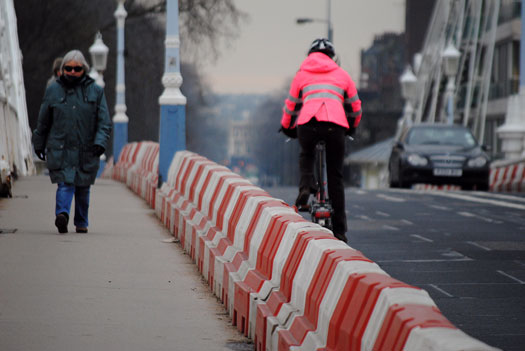 Albert Bridge, 29/01/10