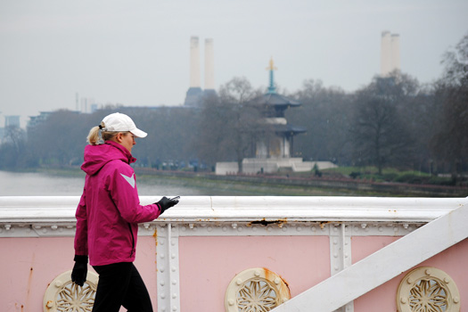 Albert Bridge, 29/01/10
