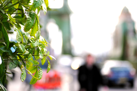 Hammersmith Bridge, 28/03/10 