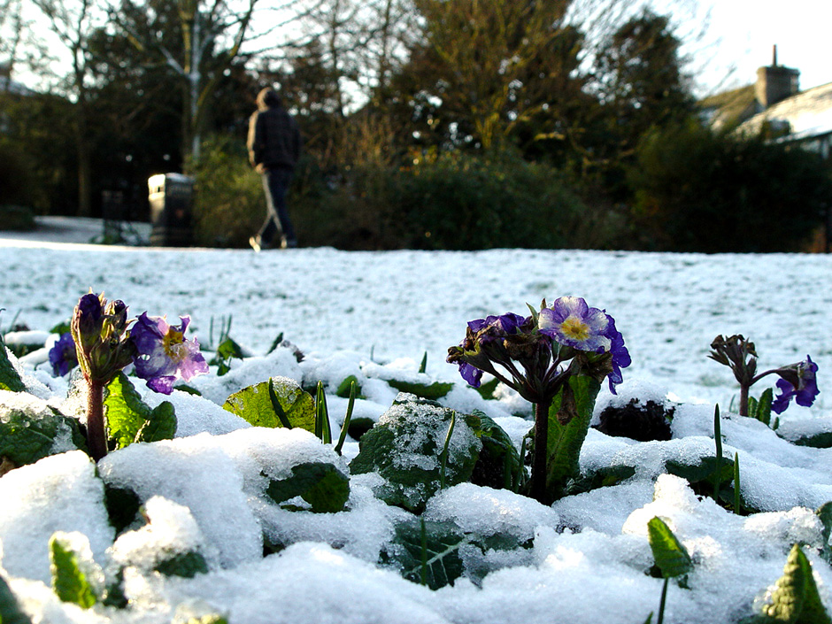 Castle Park, Colchester