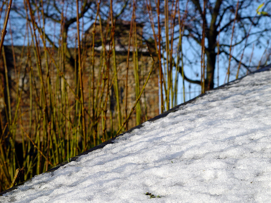 Castle Park, Colchester