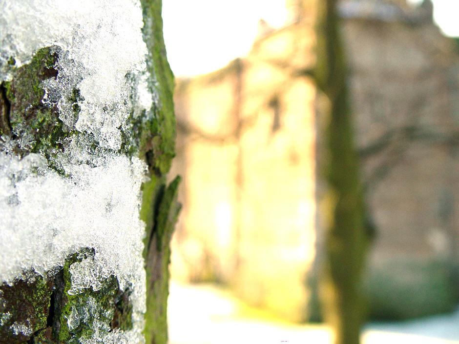 Castle Park, Colchester