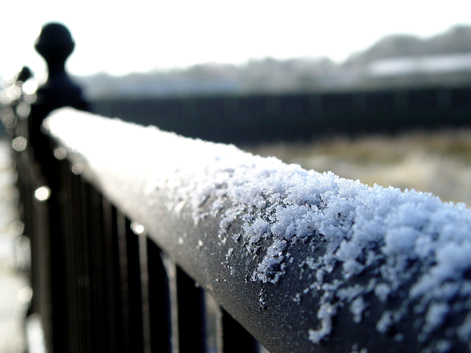 Ferry Marsh, Wivenhoe