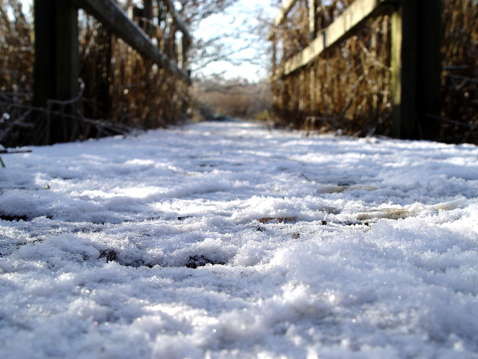 Ferry Marsh, Wivenhoe