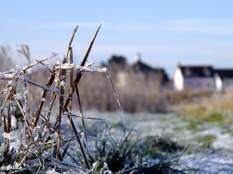 Ferry Marsh, Wivenhoe