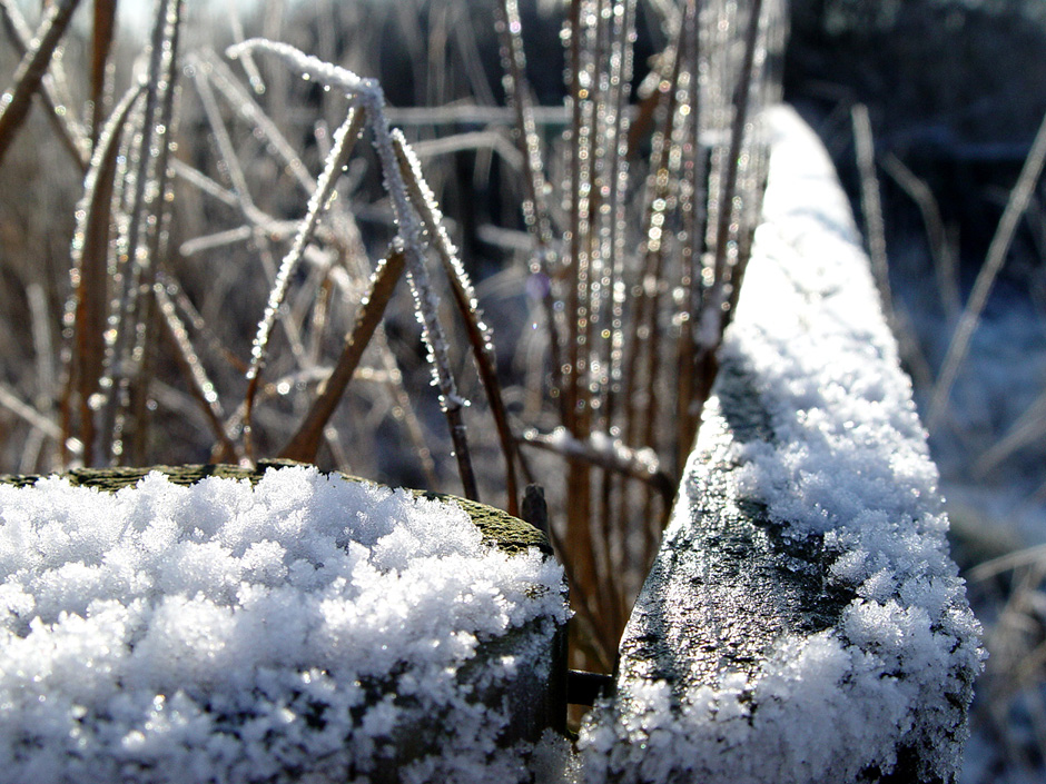 Ferry Marsh, Wivenhoe