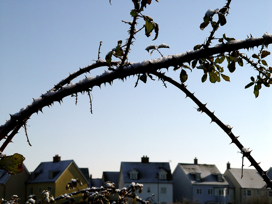 Ferry Marsh, Wivenhoe