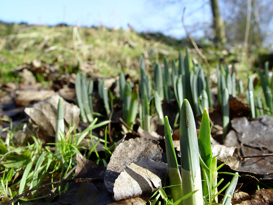 University of Essex Lakes