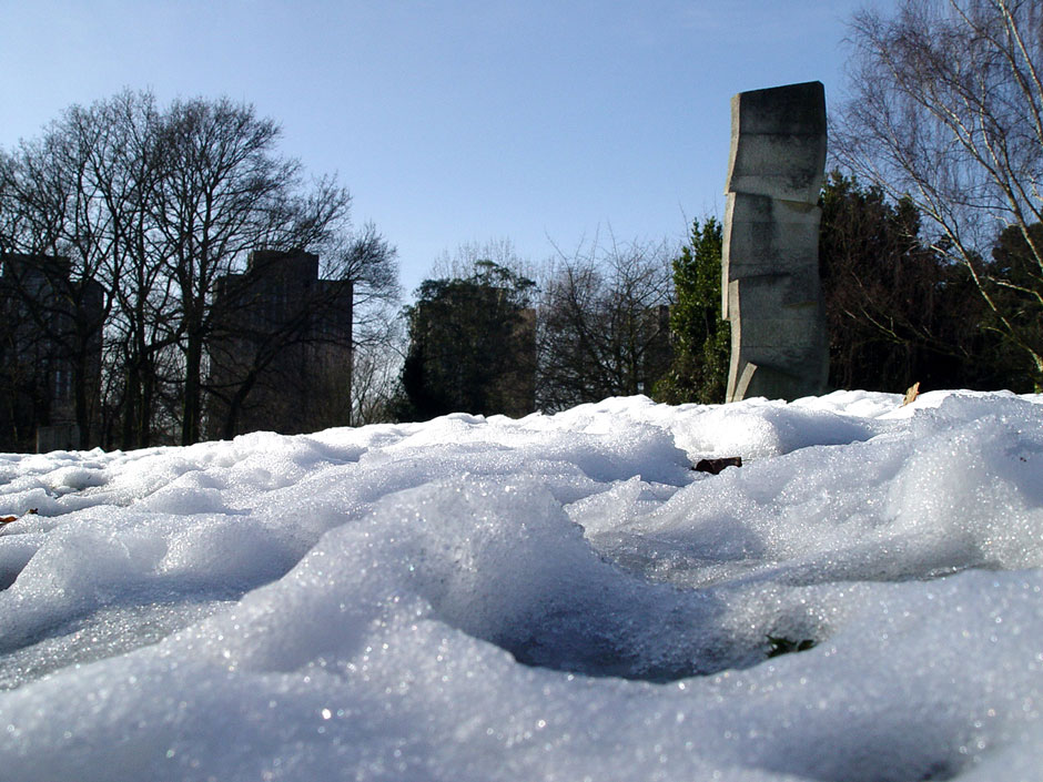 University of Essex Lakes