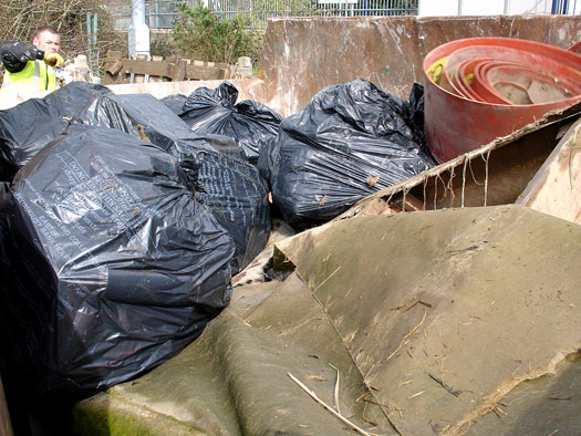 Wivenhoe Society riverbank clean Up